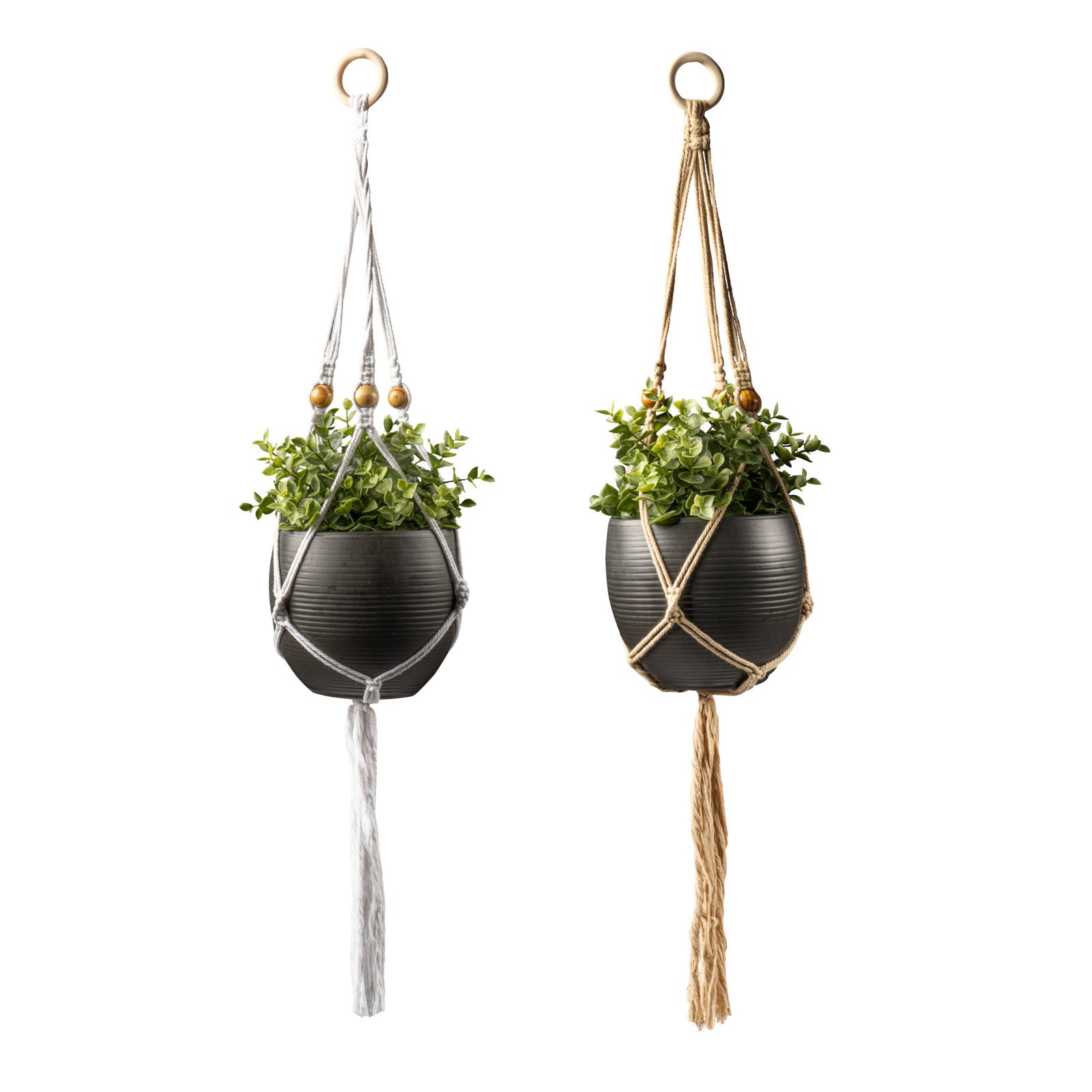 Seed & Sprout Let's Hang 32" Macrame Plant Hanger for 5" Pot