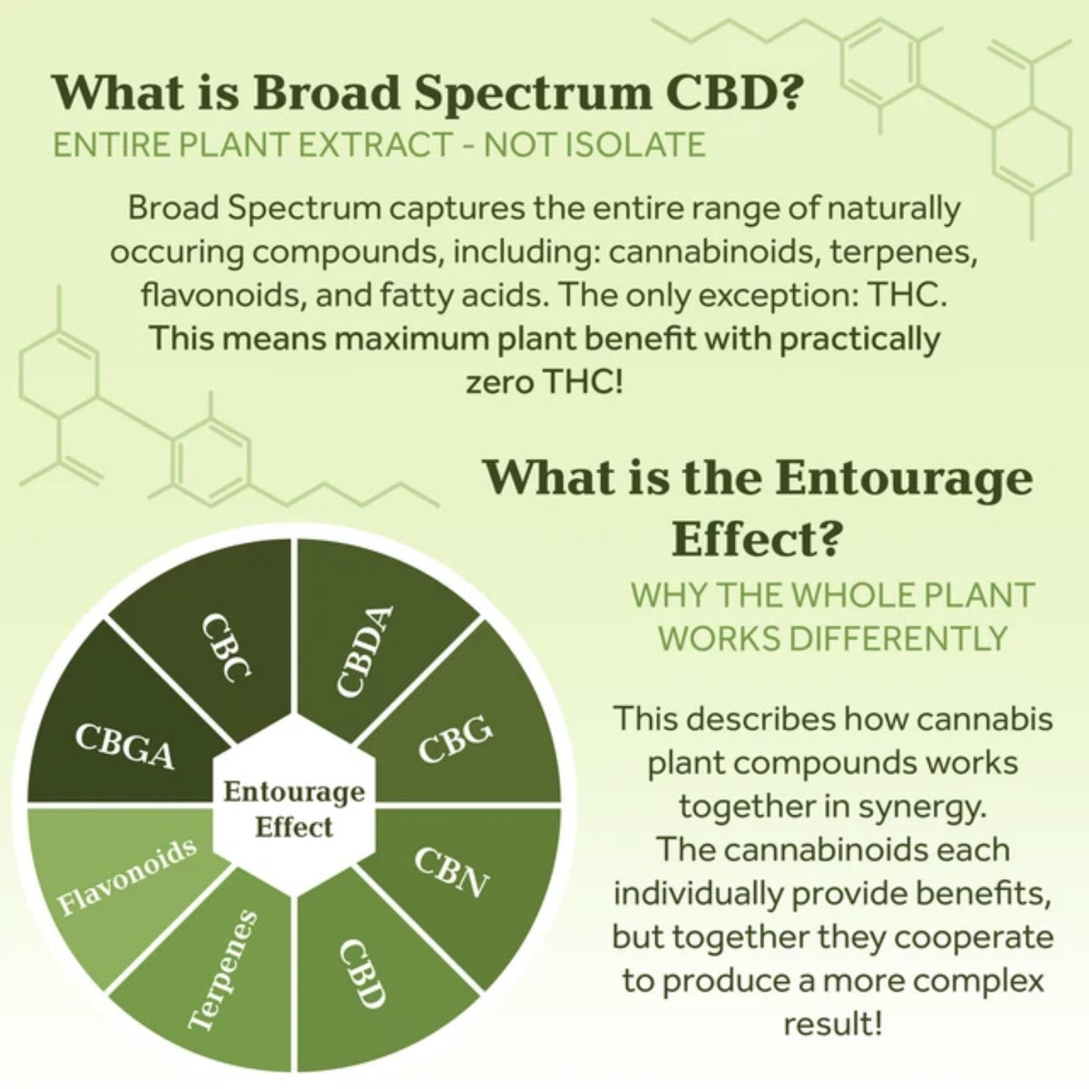 2.3 oz. 2300mg Broad Spectrum CBD MAXStrength Infused Topical Cream