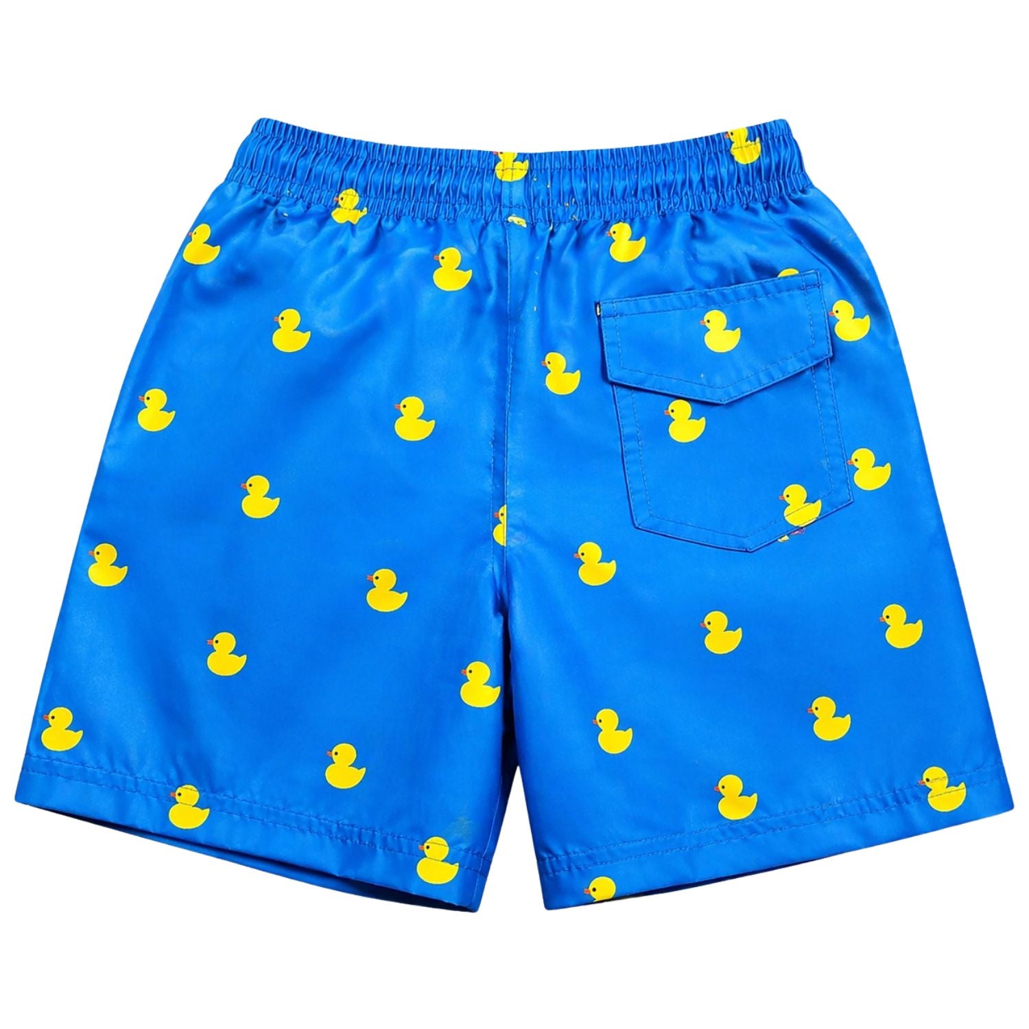 Heat Swimwear Boys Printed Tie Front Swim Trunk Board Shorts, Ducks