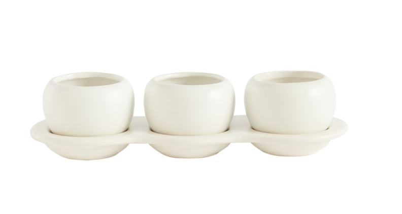 Accent Decor Trio of Rounded Pots, 3 Planters on Tray, Succulents Cactus, 'Otto'