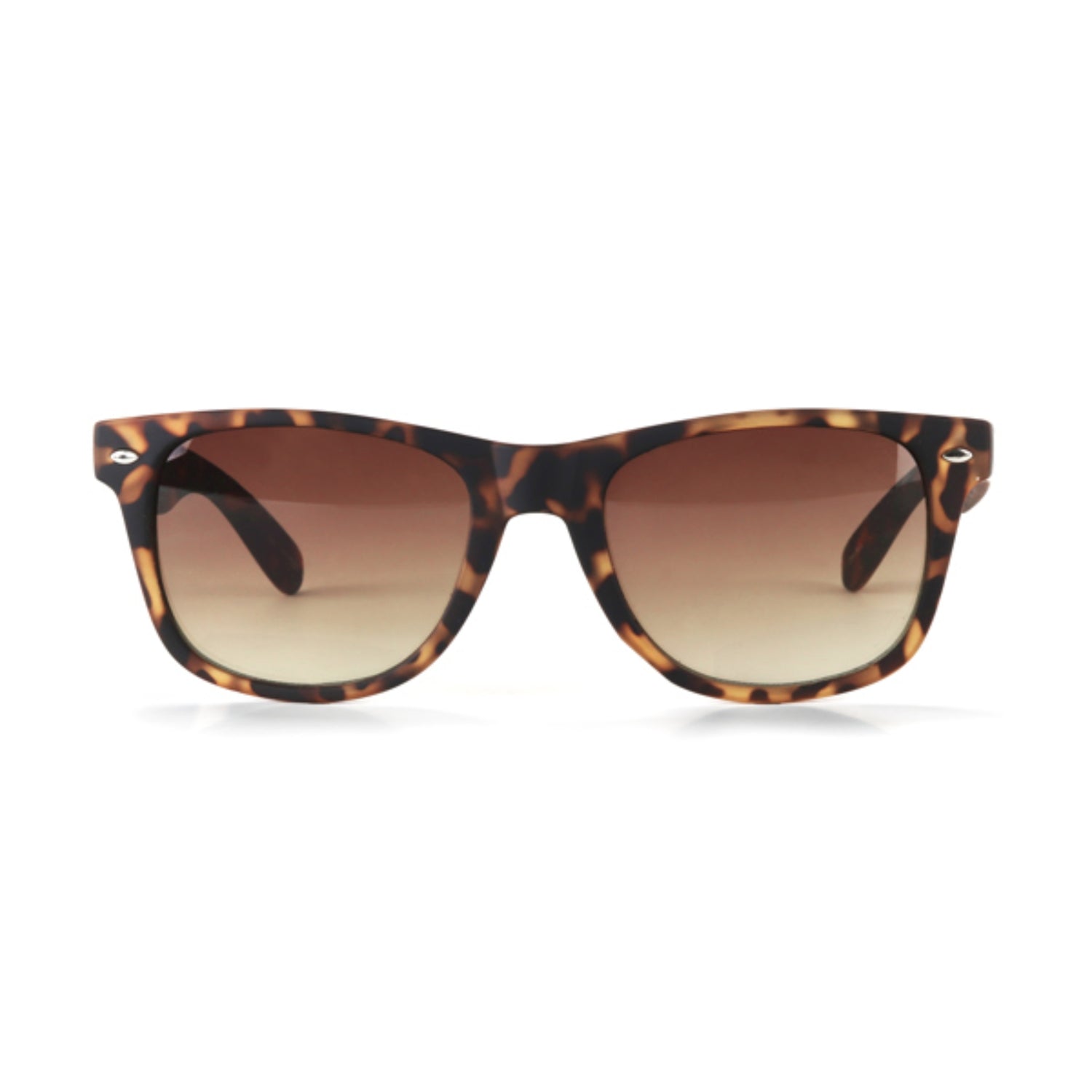 Optimum Optical Sunglasses - Dad Bod