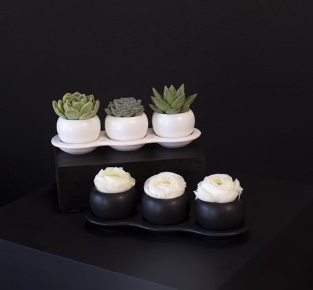 Accent Decor Trio of Rounded Pots, 3 Planters on Tray, Succulents Cactus, 'Otto'