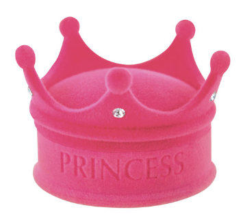 Sparkling Princess Pendant Necklace, Crown Gift Box and Interior Sentiment