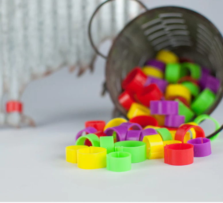 Happy Hen EZ Leg Bands, Write on Bands for Chickens, Small or Medium