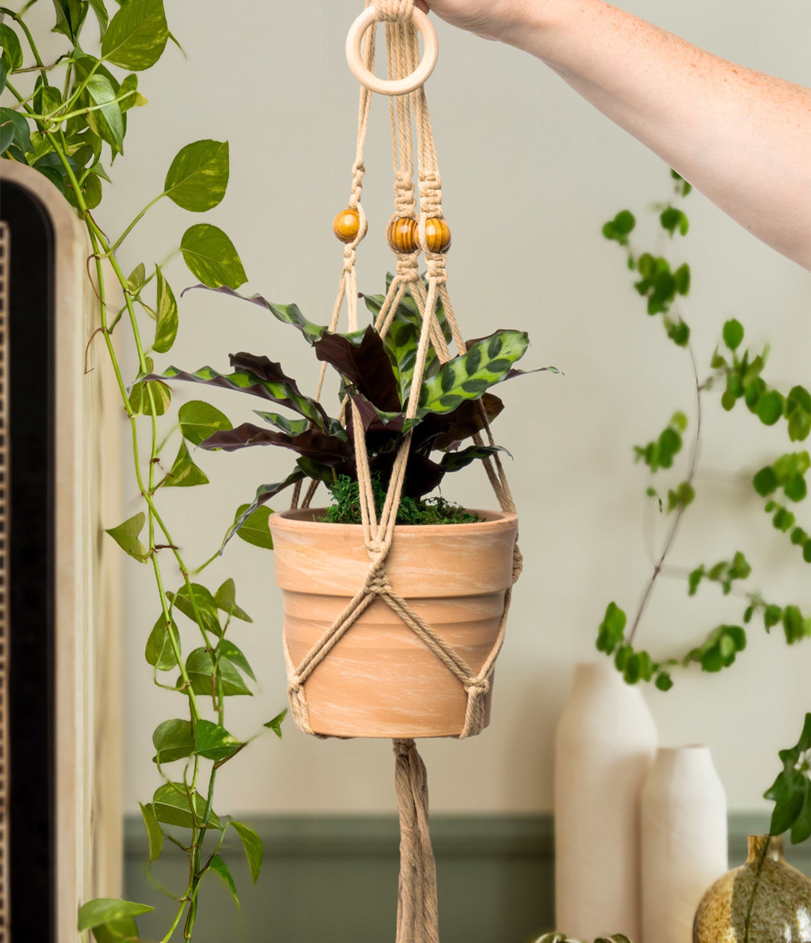 Seed & Sprout Let's Hang 32" Macrame Plant Hanger for 5" Pot
