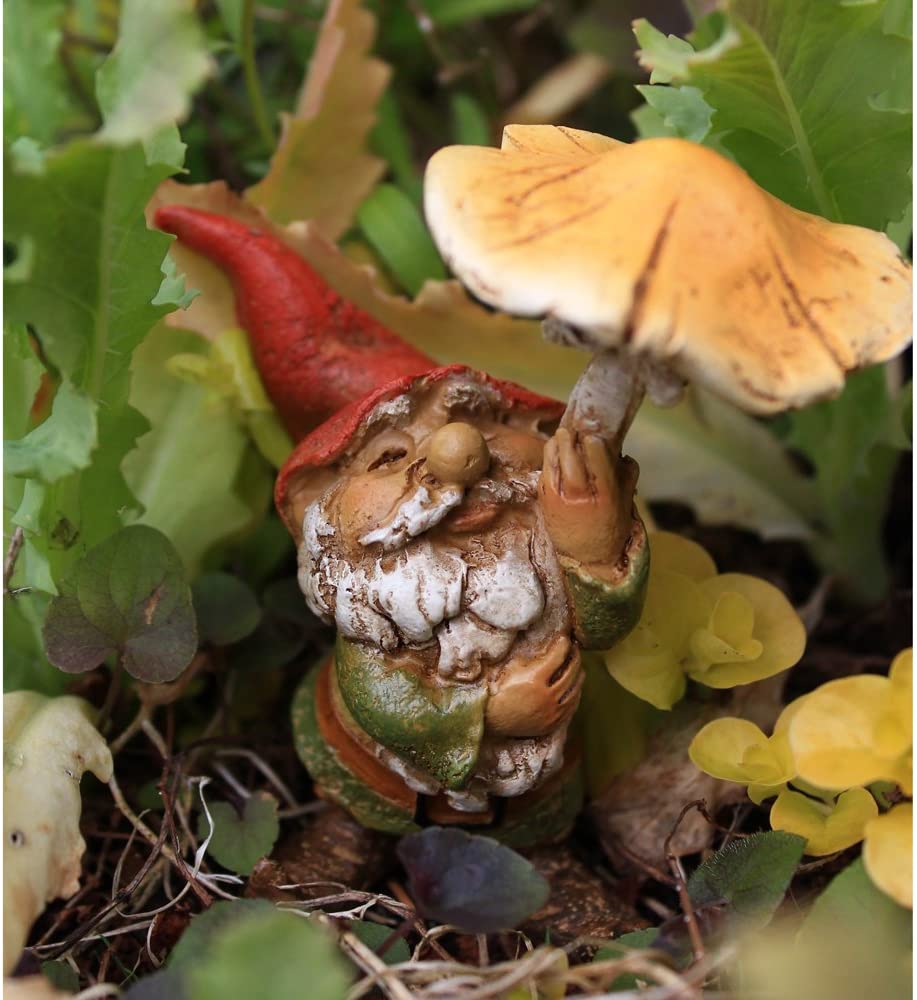 Top Collection Miniature Garden Gnome Statue