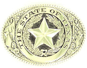 Nocona Mens Oval Metal Belt Buckle The State of Texas (Black, Gold)