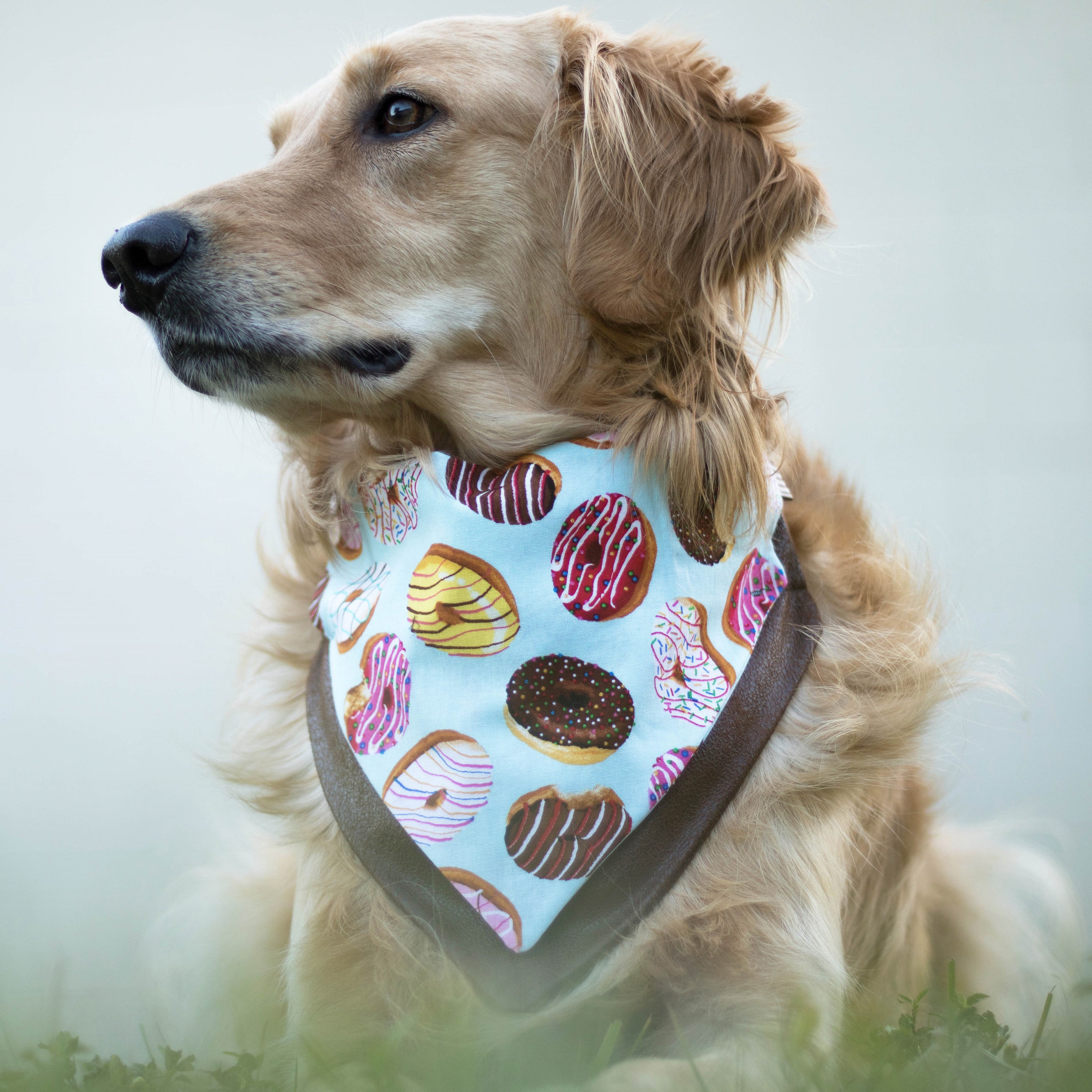 Seminole Outfitters Dog Bandana