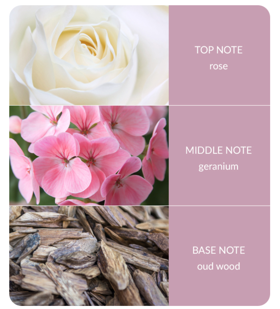 Bamboo Oud Wood & Geranium Wax Melt