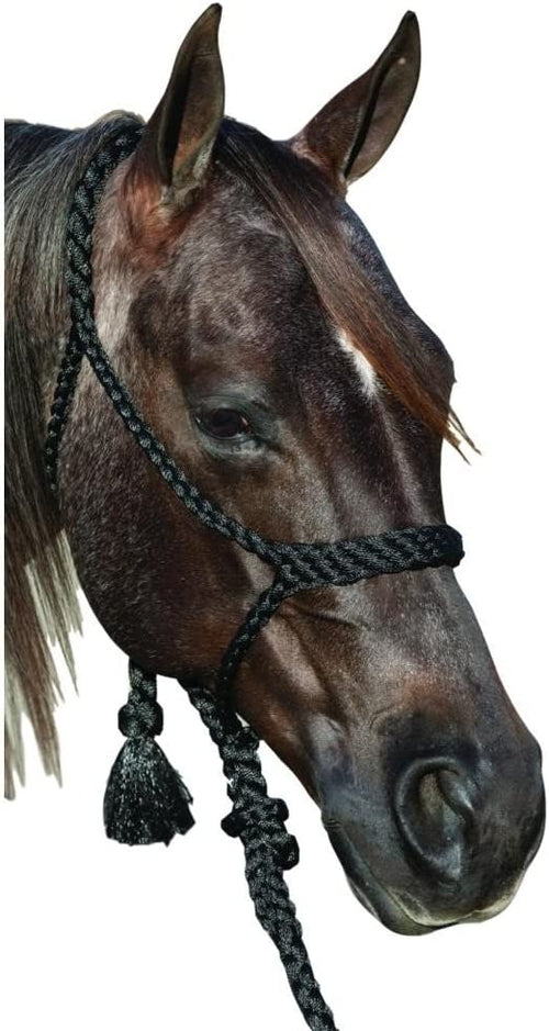 Professional's Choice Cowboy Braided Halter with 10 Foot Lead