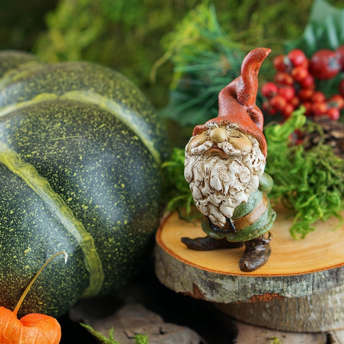 Top Collection Miniature Garden Gnome Statue